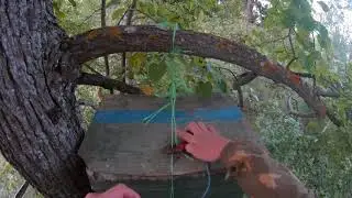 Последний Рой Сезона 2020!
