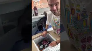 Секрет Коробки Стейки Карпат і Два Стейкові Ножі Безкоштовно