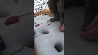 РЫБАЛКА НА ПЛОТВУ #рыбалка #рыбалка2024 #плотва #рыбалканаплотву