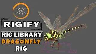Rig Dragonfly with Rigify : Rig Library in Blender | Rigify Dragonfly Rig