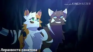 || Коты воители ||~клип~{When Can l See You Again}