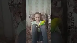 Такого вы еще не видели! Дрессированный попугай!!!