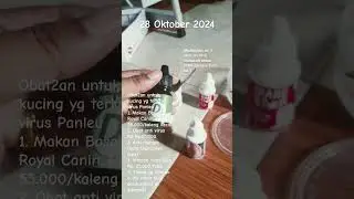 Obatan yg saya pakai merawat kucing terkena virus panlea