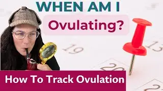 Get Pregnant Faster with Accurate Ovulation Cycle Tracking