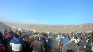 02.01.2022 БУЗКАШИ ДАР Ш.КОНИБОДОМ (((😱😱😱ВИДЕО ДАР ПЕШИ БУЗ)))