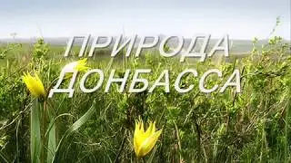 Республиканский ландшафтный парк «Донецкий кряж»