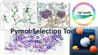 Selection of residues/atoms in Pymol