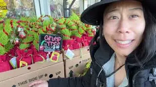 Trader's Joe Xmas