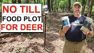 No Till Food Plot: For Deer in the Woods