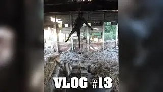 Vlog #13 | Немного и смерть
