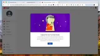 Standuply video and voice answers