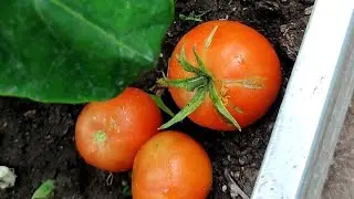 Все отговаривали,а все таки купила! Довольна очень! 💯