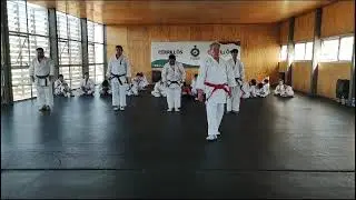 GOJUSHIHO KATA.