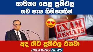 සාමාන්‍ය පෙළ ප්‍රතිඵල තව පැය කිහිපයකින් | G.C.E O/L 2024 Results Release Date New