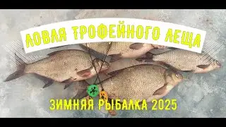 Ловля трофейного леща. Зимняя рыбалка. 15-16 марта 2025г.