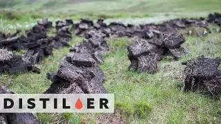 What is Peat? | Distiller