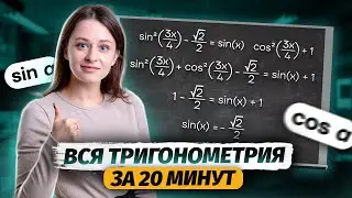 Вся тригонометрия за 20 минут | Умскул | Средняя школа