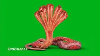 Naagin 5 || Bani Five Head Snake Animation By QHD channel ||