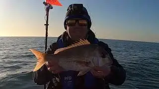 October Snapper