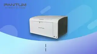 Impresora Laser Pantum P2509 Series