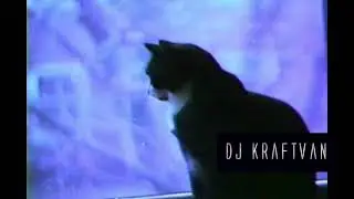 DARK ELECTRO / DARK WAVE / COLD WAVE