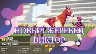 Rival Stars/ Пушка а не конь/ 4 ЧАСТЬ