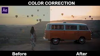 Color Correction | After Effects | Aves Animation | My Work