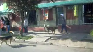 marcha CDR 006
