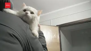 90 дивногорцев переселили из аварийного жилья