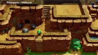 Link's Awakening - Trade Quest (Hibiscus)