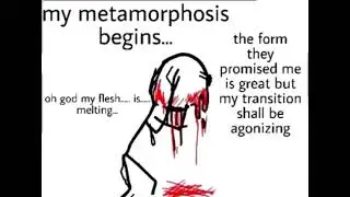 Metamorphosis