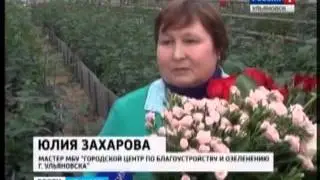 Мой фильм 55