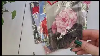 Ноябрьские посевы