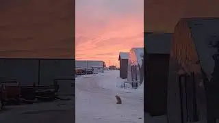 Якутия на восходе солнца!