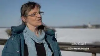 Inflyttare i Rättvik, Iréne Sturve