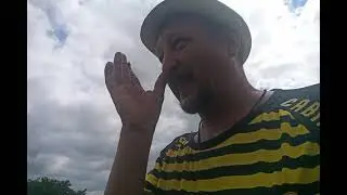 Сорта для начинающих табаководов