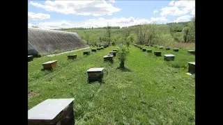 Пасечные зарисовки.