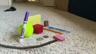 BFDi in real life