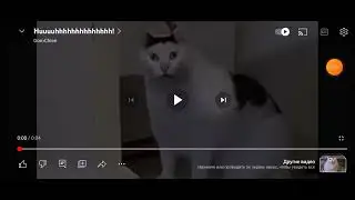 Hun