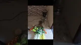 Terremoto Ecuador 6.7 Grado (Video Completo)  #ecuador #temblor #terremoto #gabe #sordo