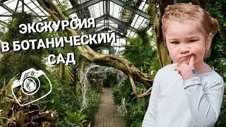 ЭКСКУРСИЯ В БОТАНИЧЕСКИЙ САД ДОНЕЦКА/ ГИГАНТСКАЯ ТРАВА, ПАРАГВАЙСКИЙ ЧАЙ МАТЕ И ДЕРЕВО МИККИ МАУС