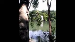 Amazing Grandpa