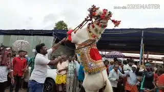 Dancing Horse Anthiyur horse fair. அந்தியூர் குதிரை கண்காட்சி