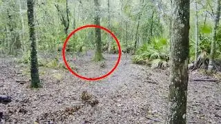 Rainy woods walk at the archery club before Hurricane Milton arrives
