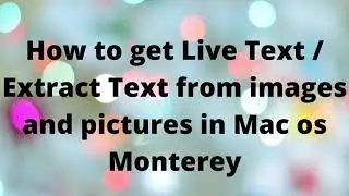 How to get Live Text / Extract Text from images and pictures in Mac os Monterey