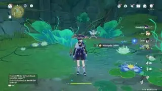 76 Aranara Chests