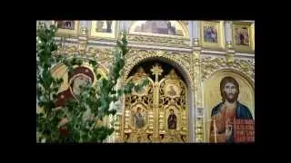 Праздник Святой Троицы в Щегловской обители 31 мая 2015 года
