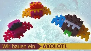 AXOLOTL bauen aus Marioinex Mini-Waffeln