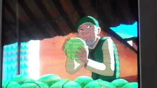 MY CABBAGES!