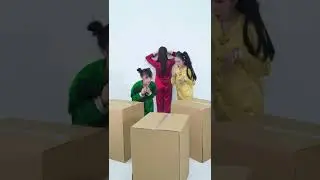 Hide And Seek With Cardboard Challenge #Shorts